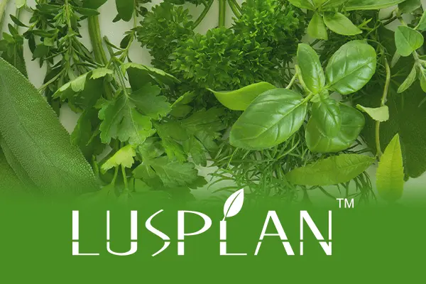 LUSPLAN™