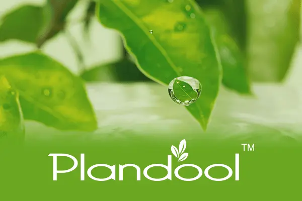 Plandool™