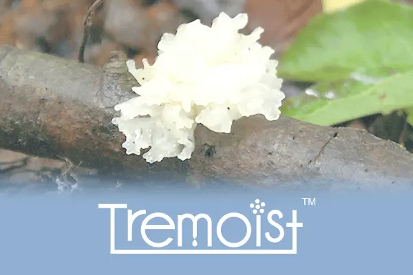 Tremoist™