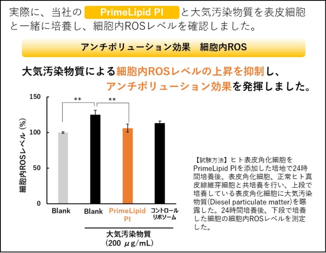 アンチポリューション効果　細胞内ROS